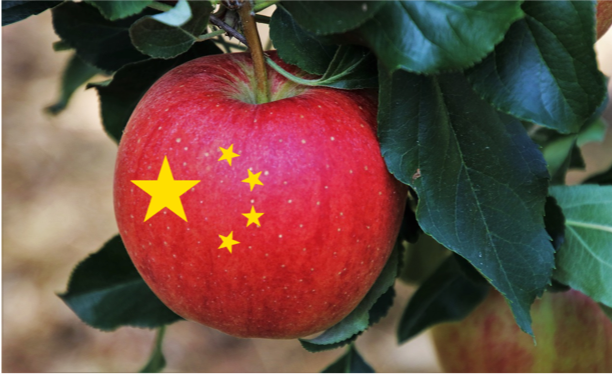 The Benefits of the Long View: A Timely Reminder from China and Apple