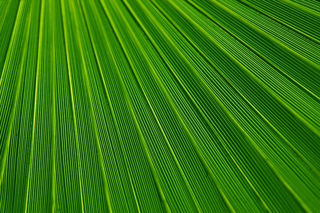 ESG: The Key to Avoiding Investor Indifference