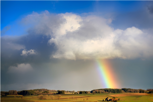 The Role of Investor Relations in the Next Economic Downturn