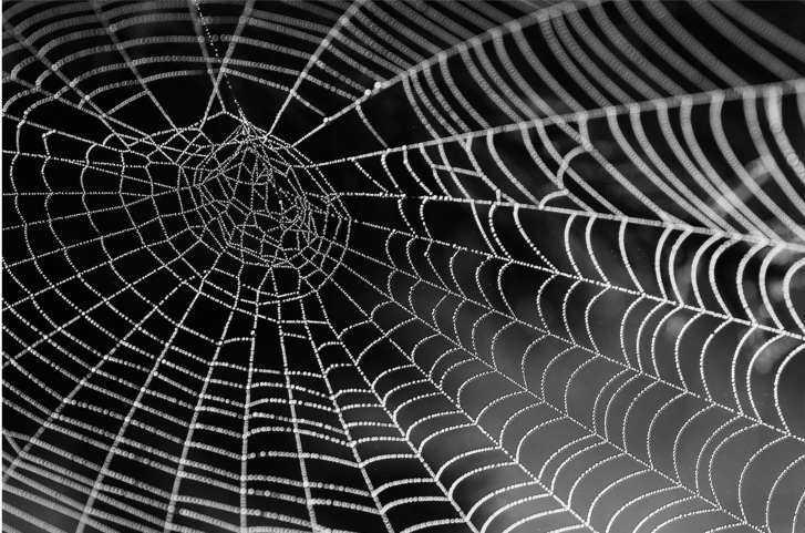 What Board Members Should Know About Network Theory