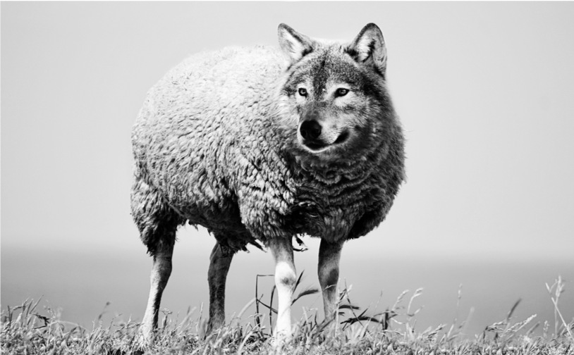 The Sad Truth About Fake News: Lessons for Leaders